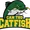 Can Tho Catfish