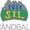 Storhamar W