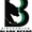 Binghamton Black Bears
