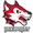 Kiekko-Pojat