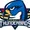 Springfield Thunderbirds