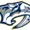 Nashville Predators