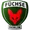 Reinickendorfer Fuchse