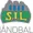 Storhamar W